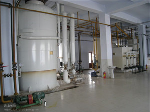 30TPD continuous soybean palm kernel rice bran vegetable oil refinery equipment list