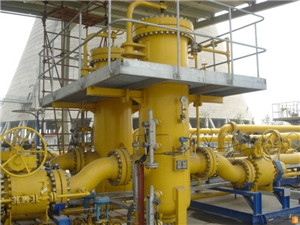 Professional automation 20 ton palm oil refinery machine sunflower oil production line processing plant