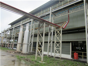 rice bran oil extraction machine/avocado oil processing machine/hand oil press machine